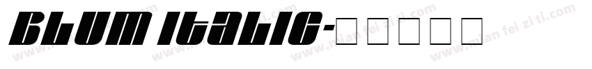 Blum Italic字体转换